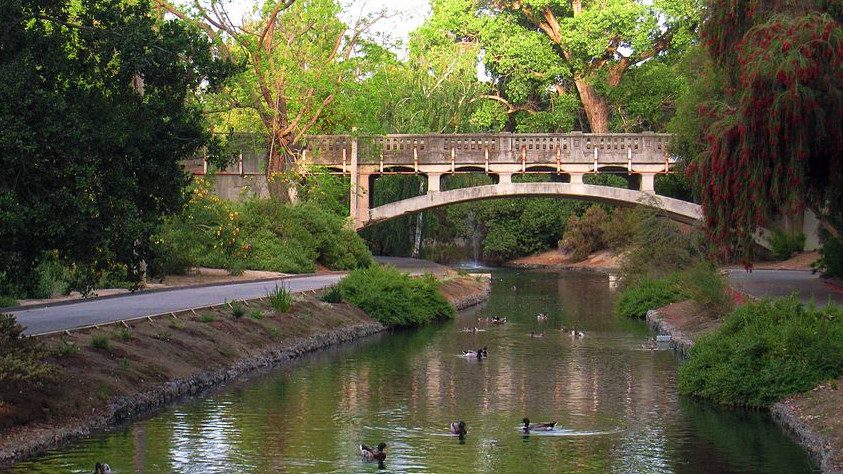 UC Davis Campus y Downtown Davis