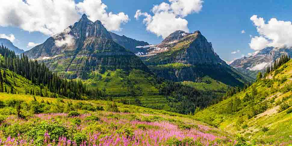 El sol brilla en las colinas cubiertas de hierba de Glacier National Park