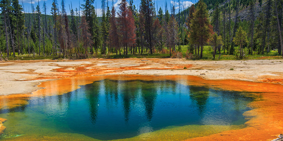 Promo Rectangle - Geyser in Yellowstone National Park