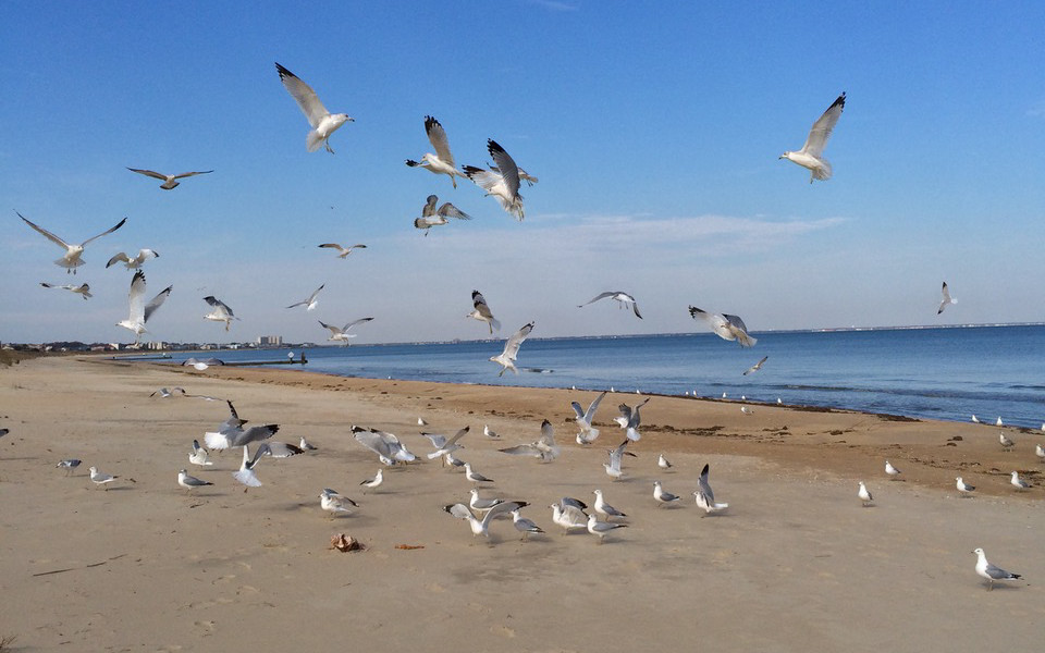 Travel Virginia by Rail Amtrak