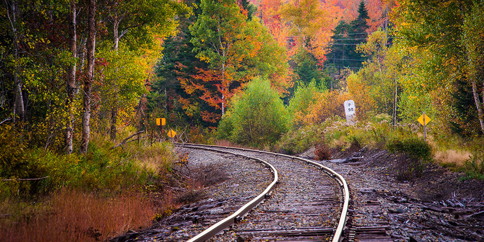 Promo Rectangle - Train Tracks Amongst Fall Foliage