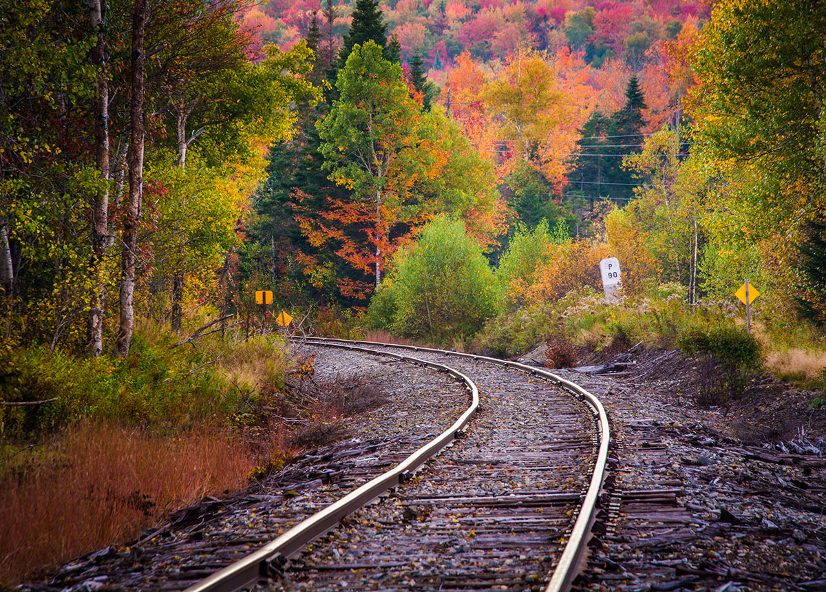 Train Tracks Amongst Fall Foliage