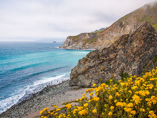 Flores y colinas a lo largo de la costa de California