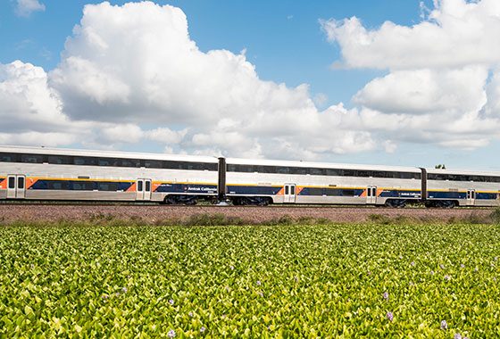 Train traveling through green farmland