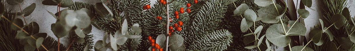String of Christmas Decorations