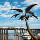 Take the Auto Train for $89
