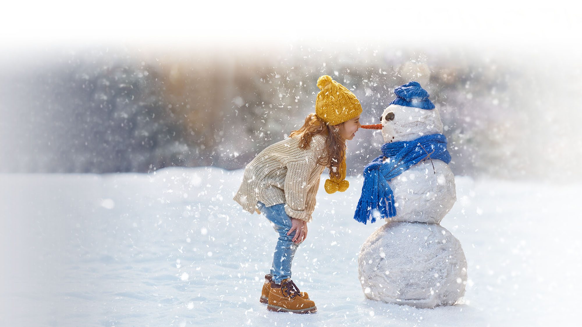 Amtrak Schedules And Fares