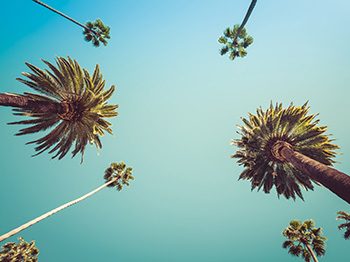 25% de descuento en Viajes a California