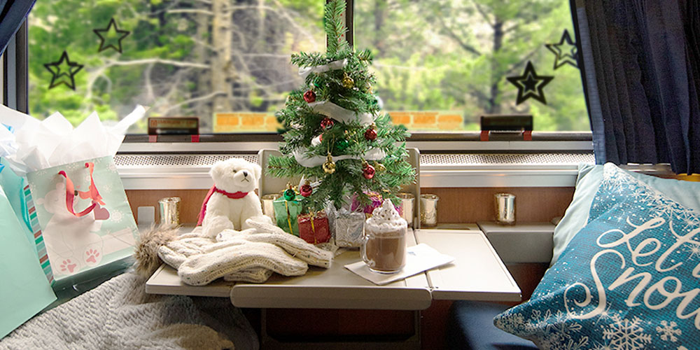 Amtrak Christmas Train 2024 cati bernadine