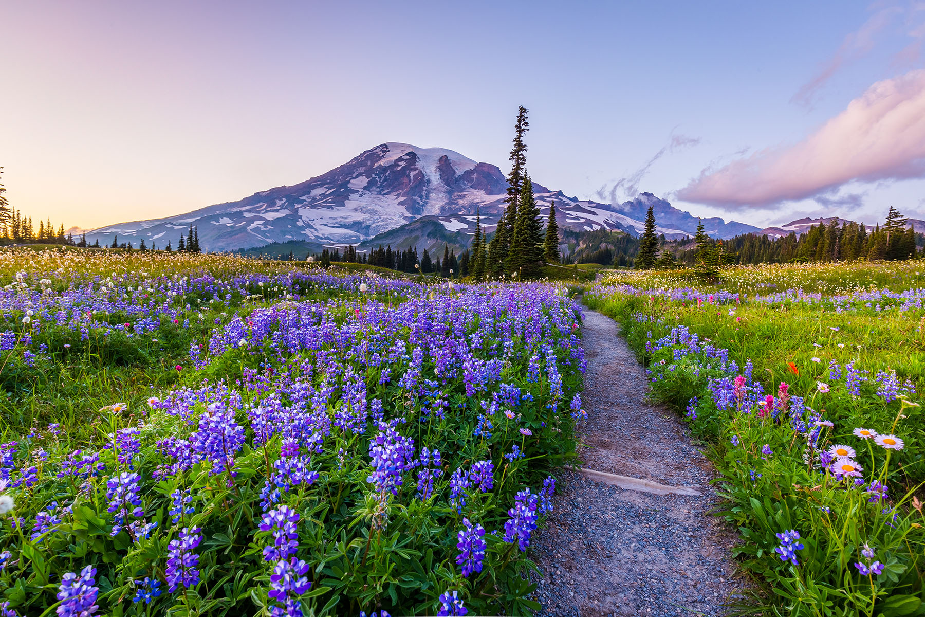 火车上的Mount Rainier倒影湖景观