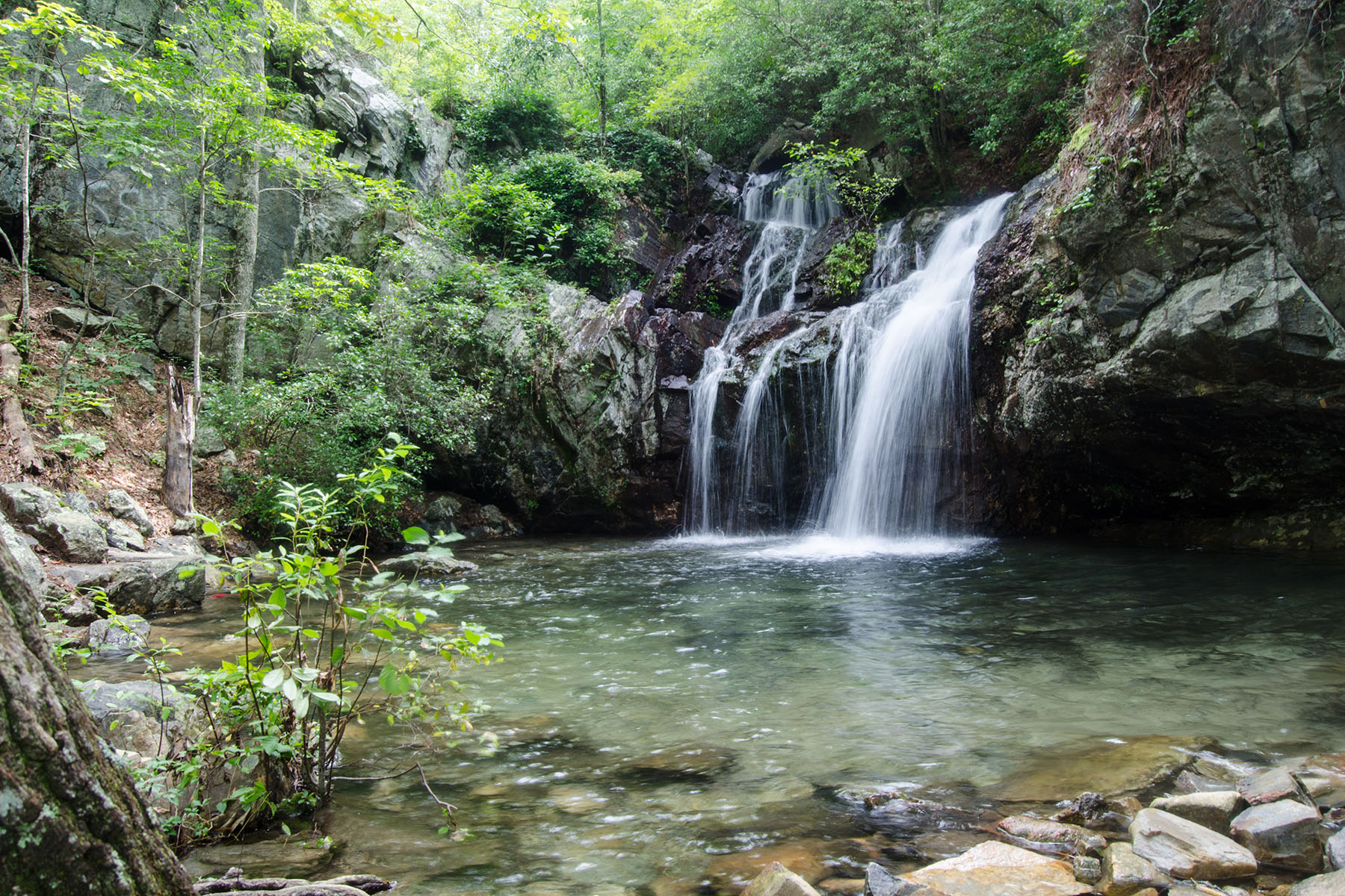 Vue d’une cascade de la Forêt nationale Talladega