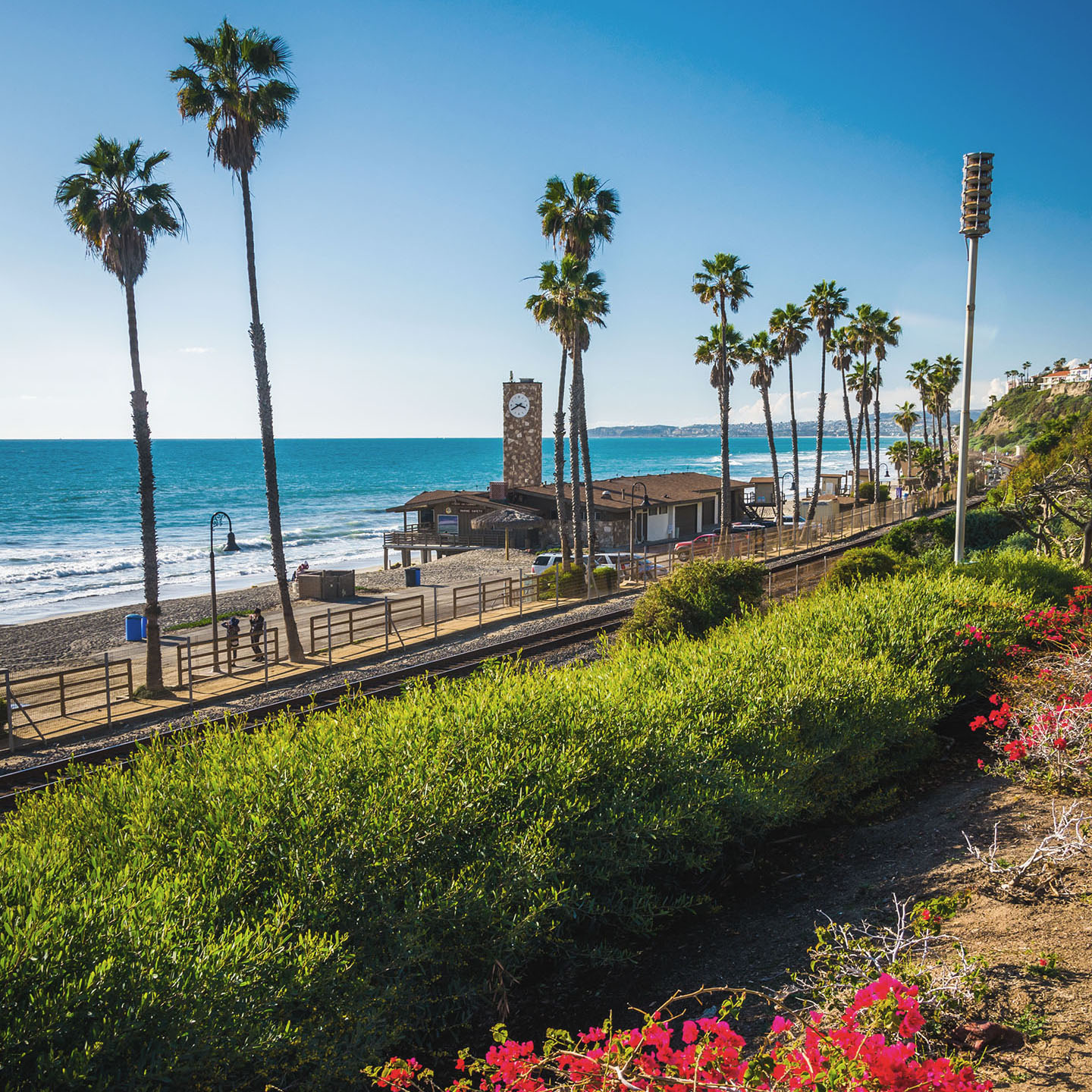 Flowers and view of the beach in San Clemente, California.