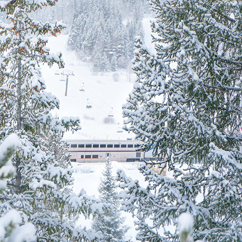 Vista del Winter Park Express a través de los árboles nevados