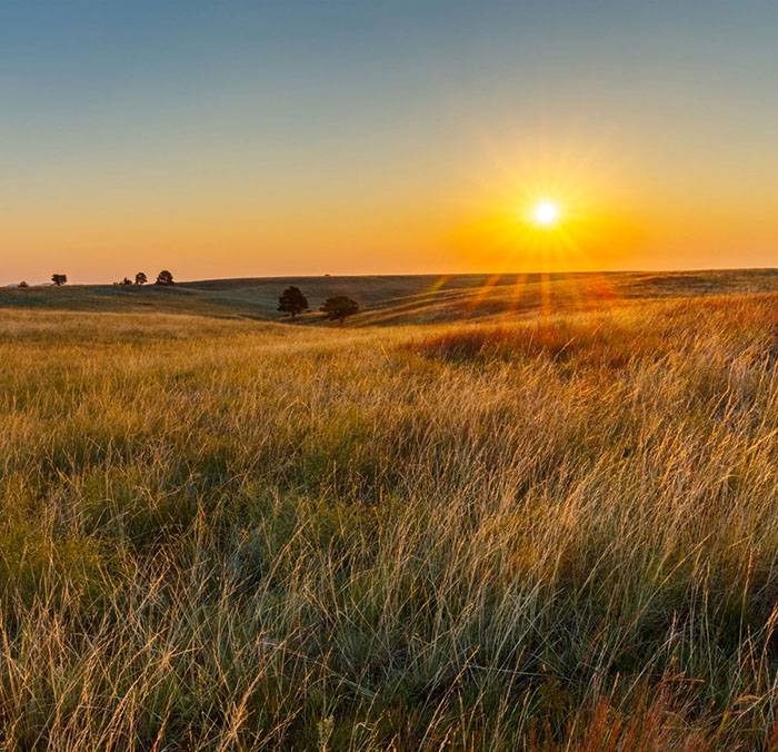 The sun rises over a lush green field