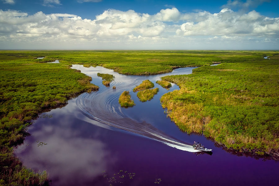 Aventure dans les Everglades