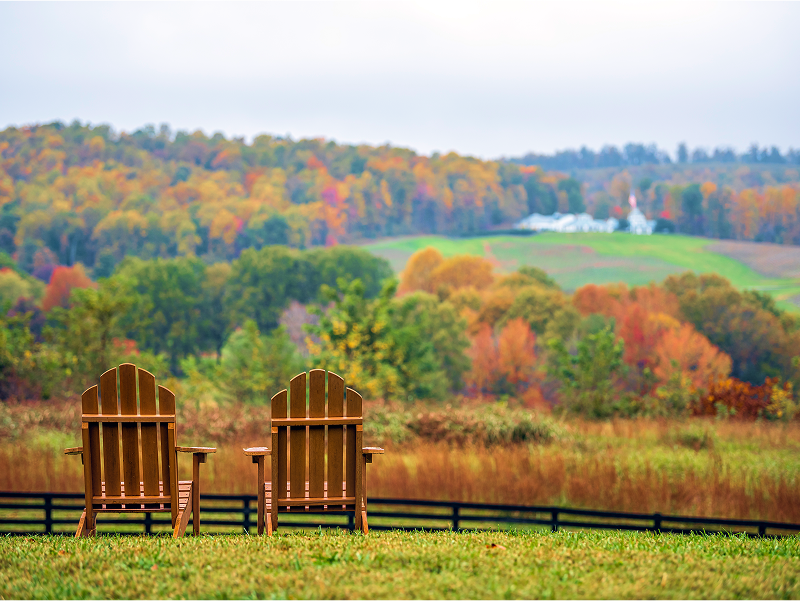 A scenic view of Lewis Ginter Botanical Garden surrounding a lake. 